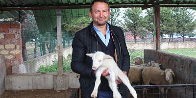 Küçükbaş hayvan yetiştiricilerinden Bursa ekonomisine 10 milyonluk katkı