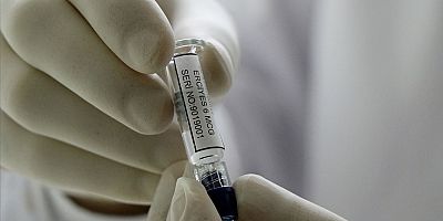 Milli koronavirüs aşısında faz-1 çalışmaları tamamlandı