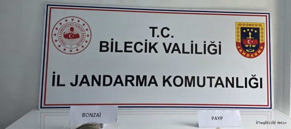 Bilecik'te jandarmanın şüphe üzerine durdurduğu araçtan uyuşturucu çıktı