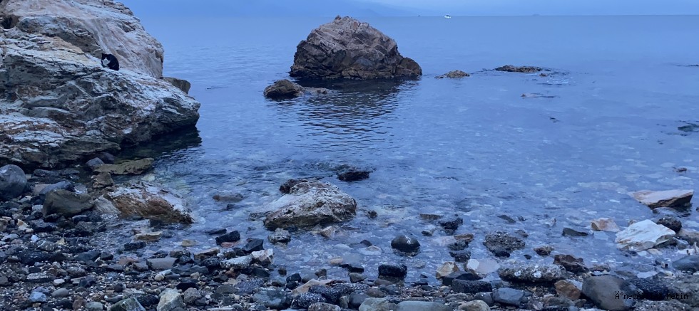 Bursa'da 3 gündür kayıp 19 yaşındaki Berat'ın cansız bedeni bulundu