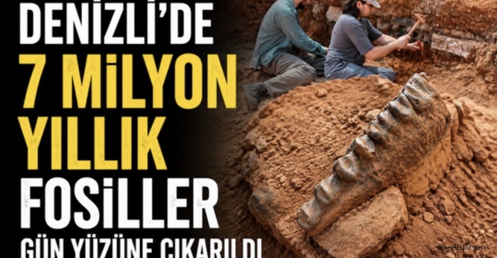 Denizli’de 7 Milyon Yıllık Fosiller Gün Yüzüne Çıkarıldı