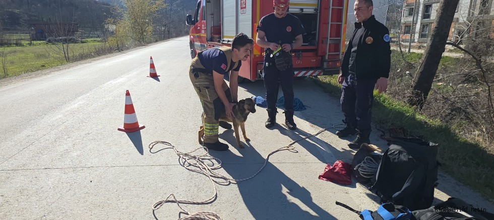 Dere Yatağına Düşen Köpek İtfaiye Ekiplerince Kurtarıldı