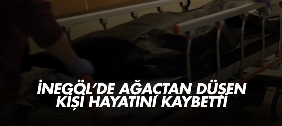 İnegöl’de Ağaçtan Düşen Kişi Hayatını Kaybetti