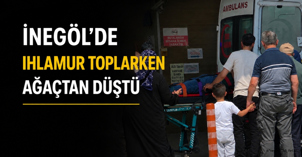 İnegöl’de Ihlamur Toplarken Ağaçtan Düştü