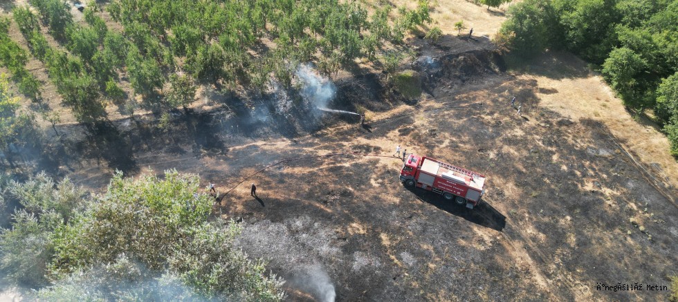 İnegöl’de  orman yangını Söndürüldü 