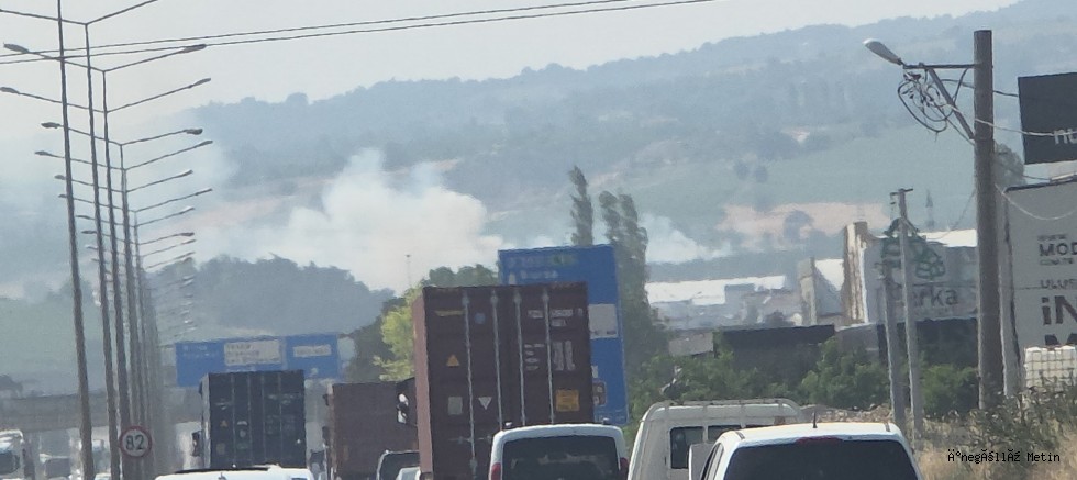 İnegöl Şehitler Mahallesi’nde Tarlada Yangın Paniği!