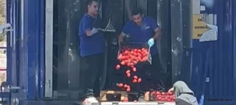 İstanbul’da Zincir markette kasalar dolusu domates çöpe döküldü, o anlar tepki topladı