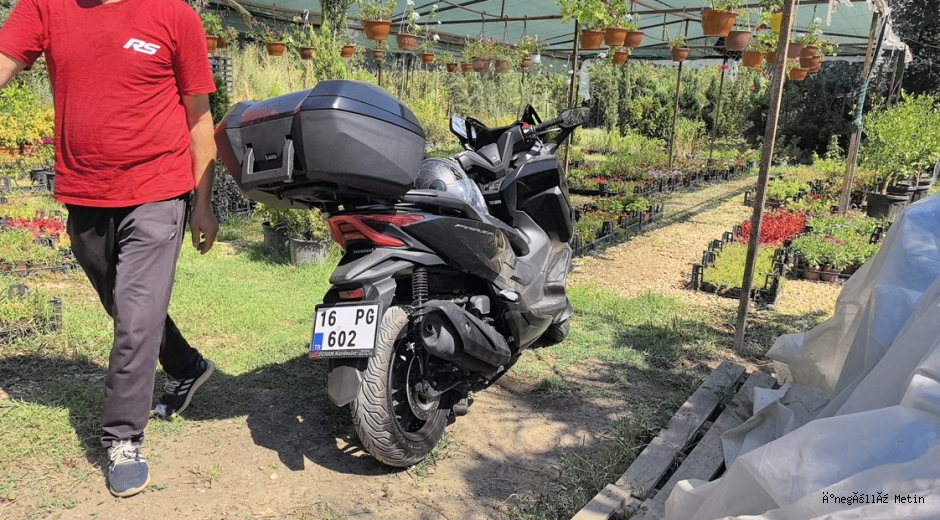 Köpeğe çarpan motosikletli yaralandı