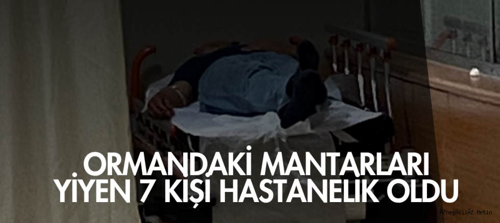 Ormandaki mantarları yiyen 7 kişi hastanelik oldu