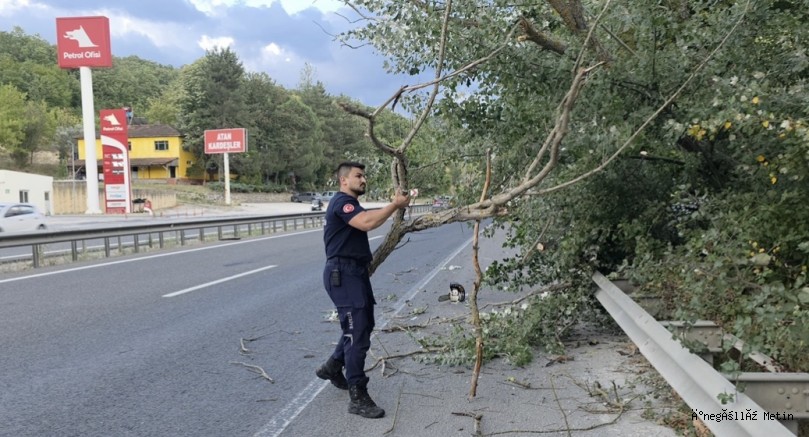 RÜŞTİYE MEVKİİNDE YOLA AĞAÇ DEVRİLDİ
