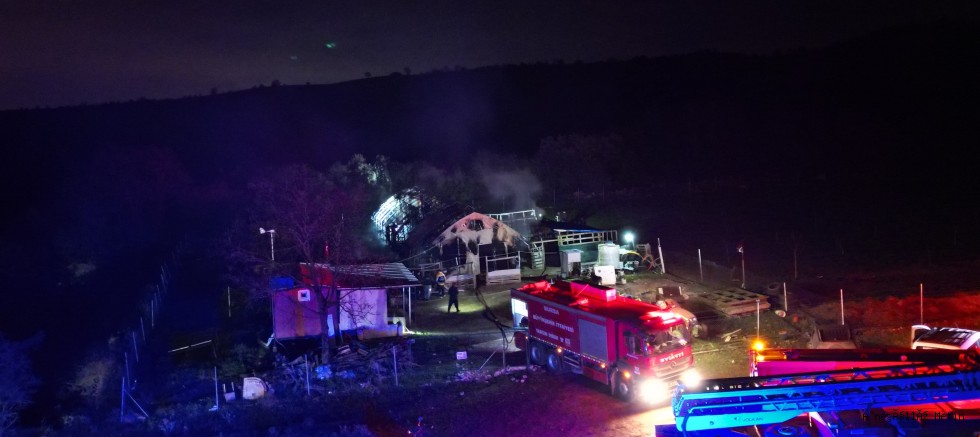 Sobadan Çıkan Yangın Çiftliği Küle Çevirdi