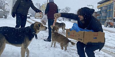 10 Farklı noktada can dostları için yiyecek bırakıldı