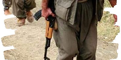 11 bombalı eylemde parmağı olan teröristler Afrin'de yakalandı