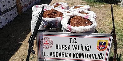 260 Kilo kaçak tütün ele geçirildi