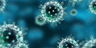 4 kişide koronavirüs testi edildi.