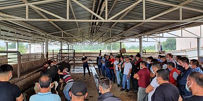 Acemi kasap olmayın, kurslardan faydalanın