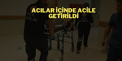 Acılar içinde acile getirildi
