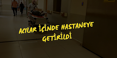 Acılar içinde hastaneye getirildi