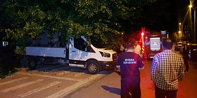 AĞAÇ PARK HALİNDEKİ ARACIN ÜZERİNE DEVRİLDİ