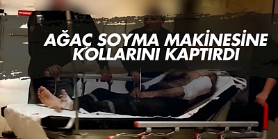 Ağaç soyma makinesine kollarını kaptırdı