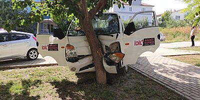 Ağaca çarpan kamyonetin sürücüsü yaralandı