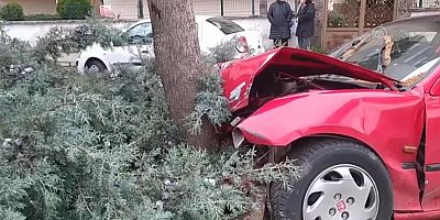 Ağaca çarpan otomobil sürücüsü yaralandı