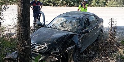 Ağaca çarpan otomobildeki 2 kişi yaralandı