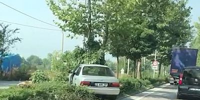 Ağaca çarparak durabildi