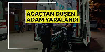 AĞAÇTAN DÜŞEN ADAM YARALANDI