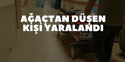 Ağaçtan düşen kişi yaralandı