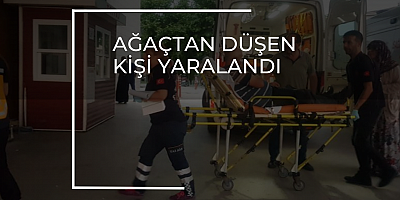AĞAÇTAN DÜŞEN KİŞİ YARALANDI