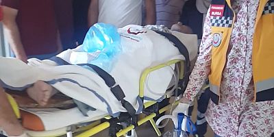 AĞAÇTAN DüŞEN YAŞLI ADAM AĞIR YARALANDI