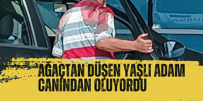 AĞAÇTAN DÜŞEN YAŞLI ADAM CANINDAN OLUYORDU