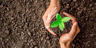 Ahıskalılardan, ' 100 bin fidan'  kampanyası 