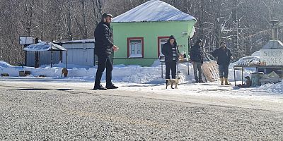 AK Gençlerden örnek hareket