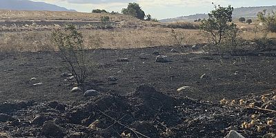 AKHİSAR’DA TARLALIK ALANDA YANGIN