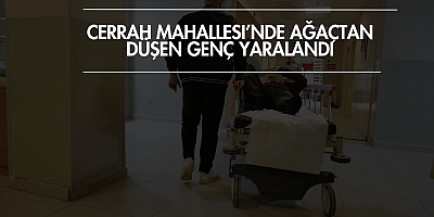 Cerrah Mahallesi’nde Ağaçtan Düşen Genç Yaralandı