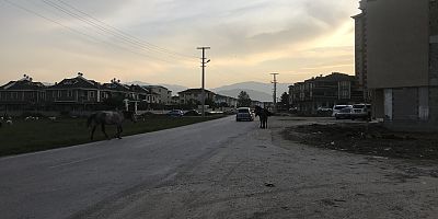 Alanyurt'ta mekanın sahipleri