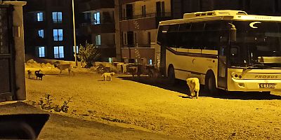 Alanyurtta vatandaşlar tedirgin