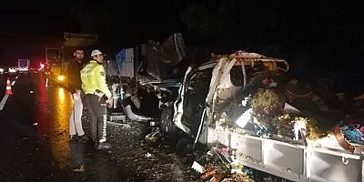 Anadolu Otoyolu'nda tırla çarpışan kamyonetin sürücüsü hayatını kaybetti