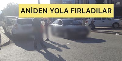 ANİDEN YOLA FIRLADILAR