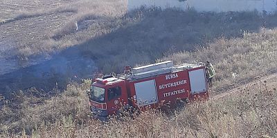 ANIZ YANGINI EVLERE SIÇRAMADAN SÖNDÜRÜLDÜ