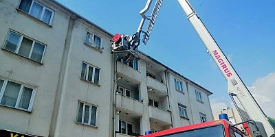 Arı oğul verince sokağı arılar bastı