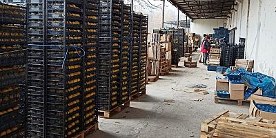 ARMUT STOKLARI TÜKENİYOR ÜRETİ FİYATLARDAN MEMNUN