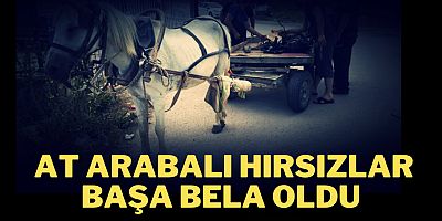 At arabalı hırsızlar başa bela oldu