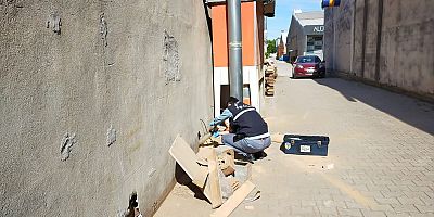 At arabalı hırsızlar kamerada