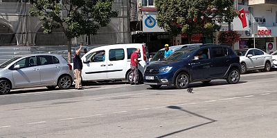 ATATÜRK BULVARI'NDA YAVRU KEDİ PANİĞİ