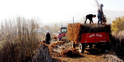 AVRUPA ÜLKELERİNİN ASYA'DAKİ 