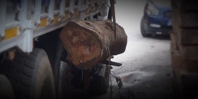 BACAĞI TOMRUĞUN ALTINDA KALDI