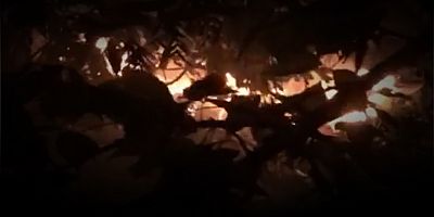 Bağımlı gençler kafayı bulunca boş araziyi ateşe verdi